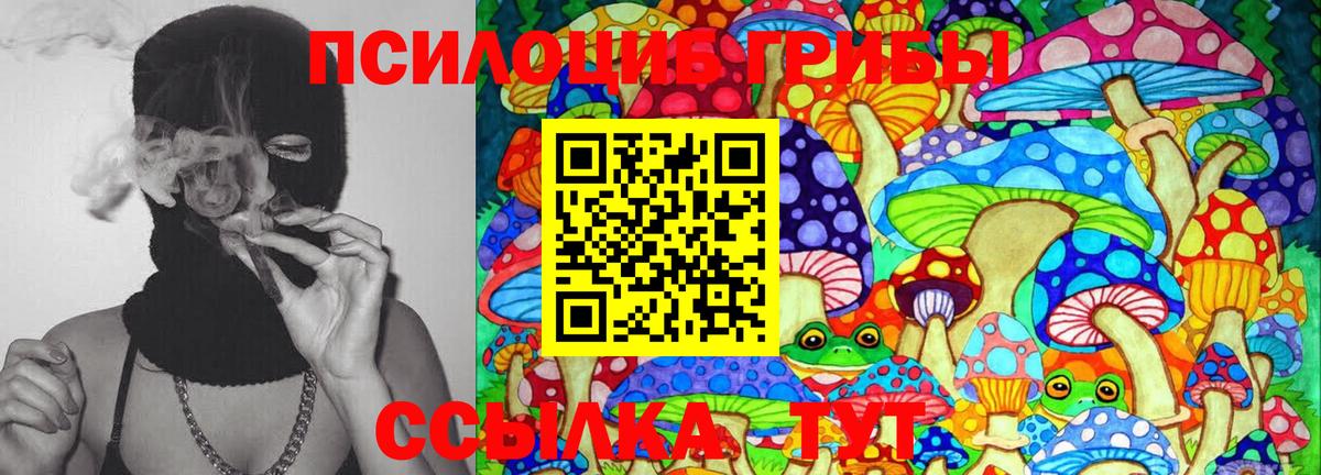 Ногинск  Галлюциногенные грибы Magic Shrooms  Вход с VPN 